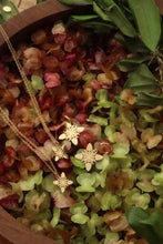 Load image into Gallery viewer, ʻAʻaliʻi
